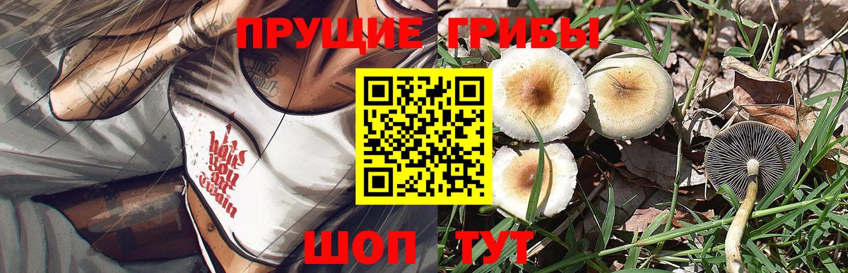 Галлюциногенные грибы прущие грибы Кунгур