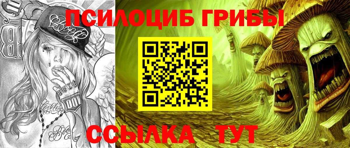 Псилоцибиновые грибы мицелий  Вход с VPN  Кунгур 